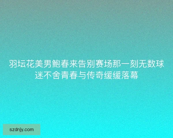 羽坛花美男鲍春来告别赛场那一刻无数球迷不舍青春与传奇缓缓落幕