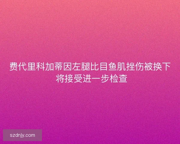 费代里科加蒂因左腿比目鱼肌挫伤被换下 将接受进一步检查