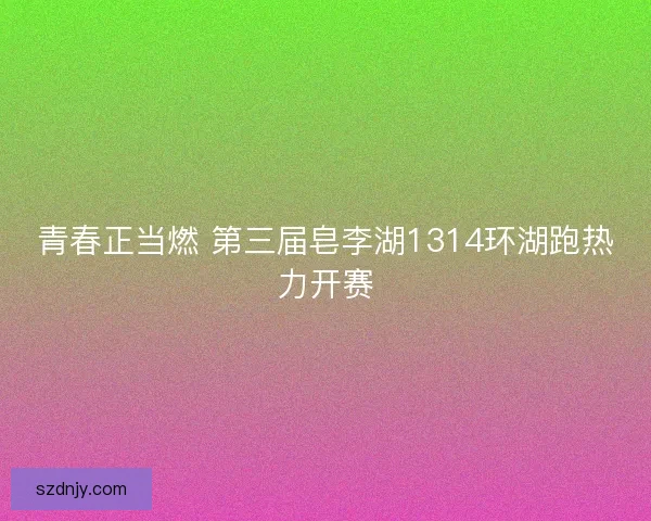 青春正当燃 第三届皂李湖1314环湖跑热力开赛